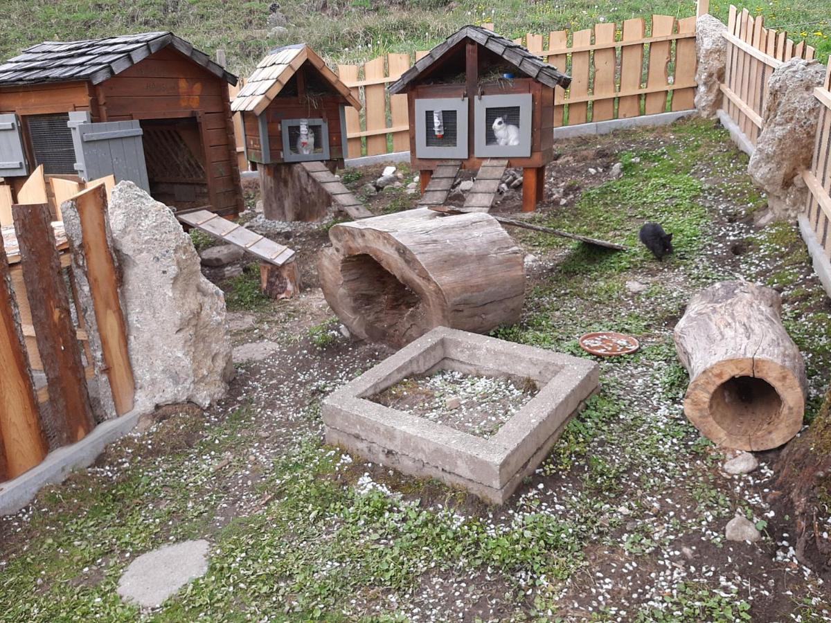 Reiters-Ferienhaus Russbach am Pass Gschütt Dış mekan fotoğraf