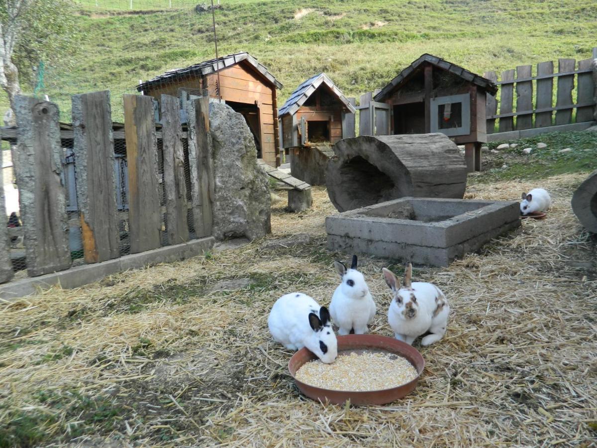 Reiters-Ferienhaus Russbach am Pass Gschütt Dış mekan fotoğraf