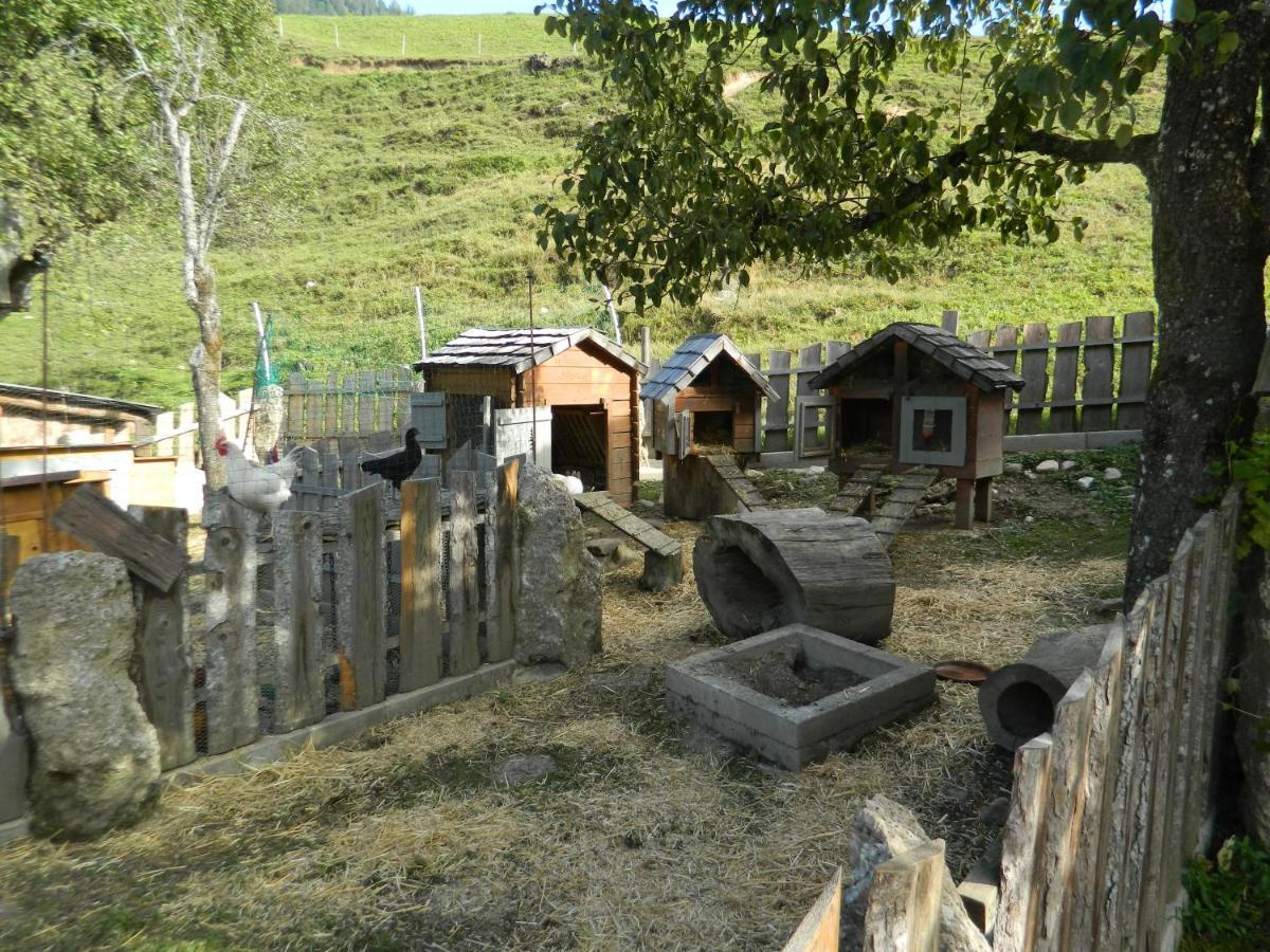 Reiters-Ferienhaus Russbach am Pass Gschütt Dış mekan fotoğraf