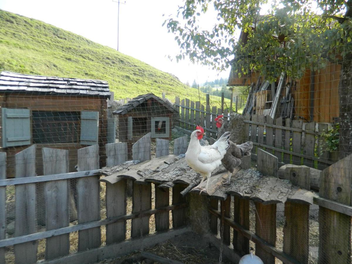 Reiters-Ferienhaus Russbach am Pass Gschütt Dış mekan fotoğraf
