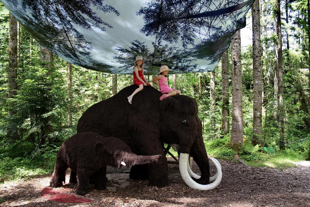 Reiters-Ferienhaus Russbach am Pass Gschütt Dış mekan fotoğraf