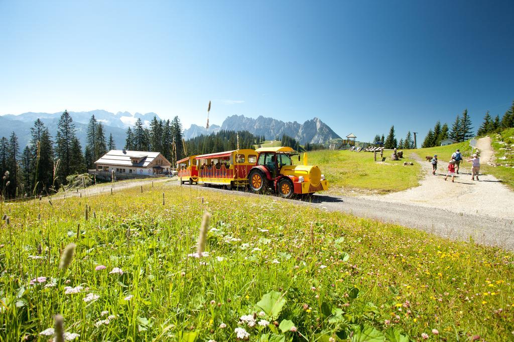 Reiters-Ferienhaus Russbach am Pass Gschütt Dış mekan fotoğraf