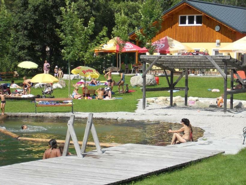 Reiters-Ferienhaus Russbach am Pass Gschütt Dış mekan fotoğraf